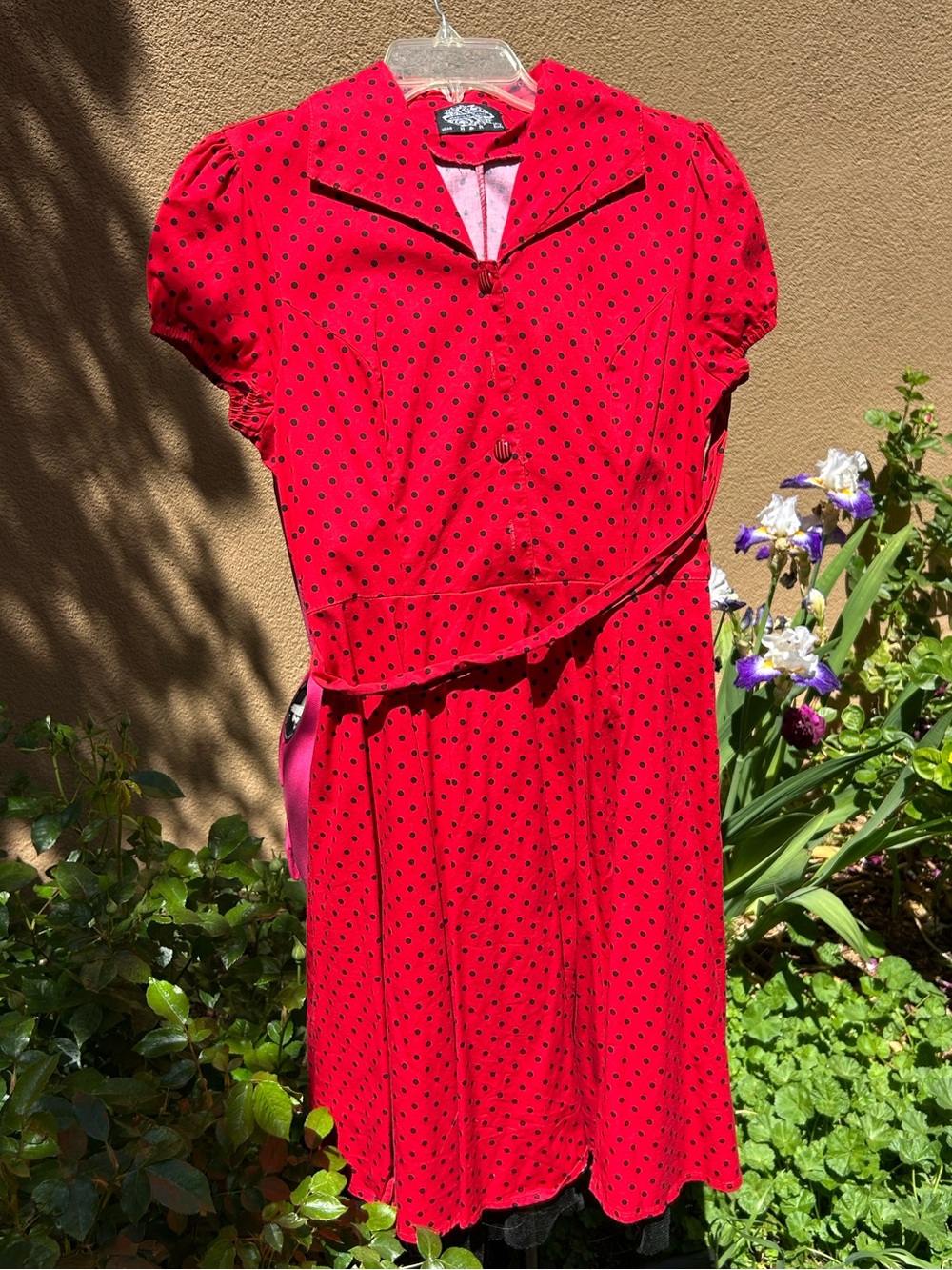 Hearts & Roses Red Polka Dot Vintage-Style Dress